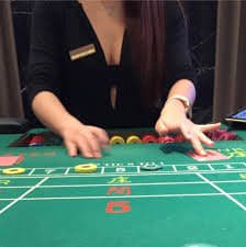nustarplay game lobby overview showing casino and sports categories on mobile